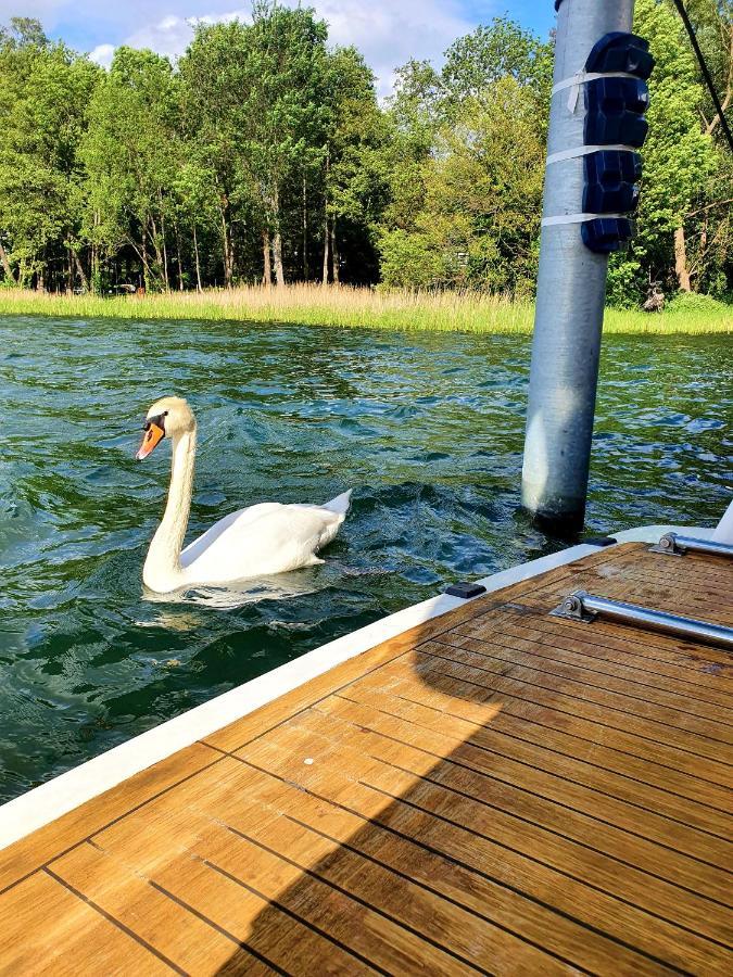 Luxusurlaub auf der Amavida Yacht / Scharmützelsee Bad Saarow Exterior foto
